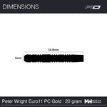 Peter Wright Euro 11 PC20 Gold 24g Darts